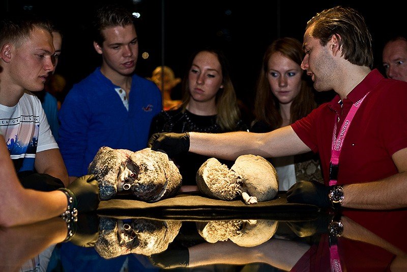 De gevolgen van roken.jpg