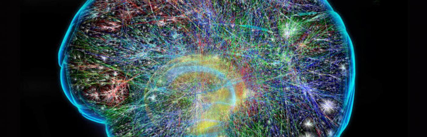 Hersengebied geluk is gevonden.jpg