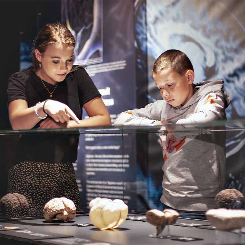 TEGEL BW 800X800 MG 1590