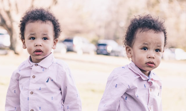 Identical Twins Overview